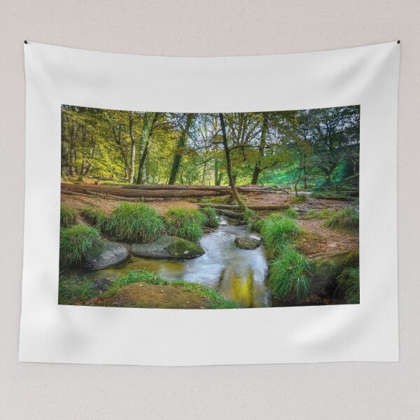 Item preview, Draynes wood Bodmin moor Cornwall  designed and sold by eddiej.