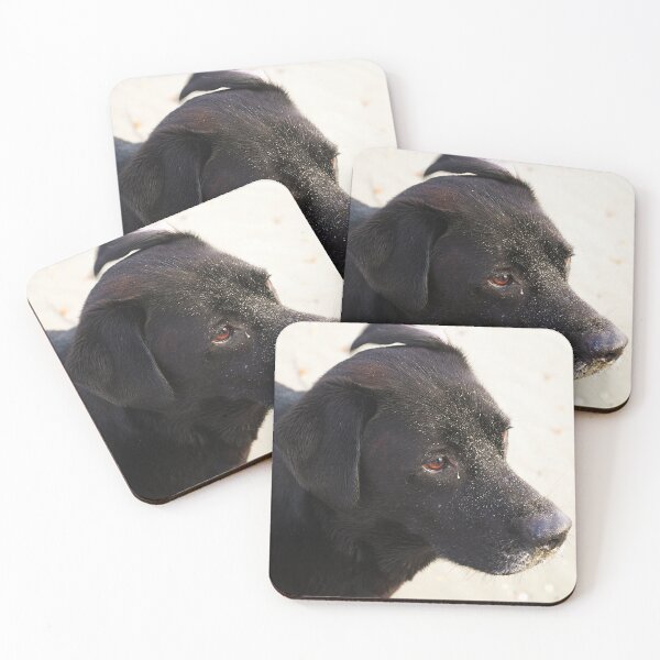 Item preview, Beach Dog designed and sold by KGibbs.