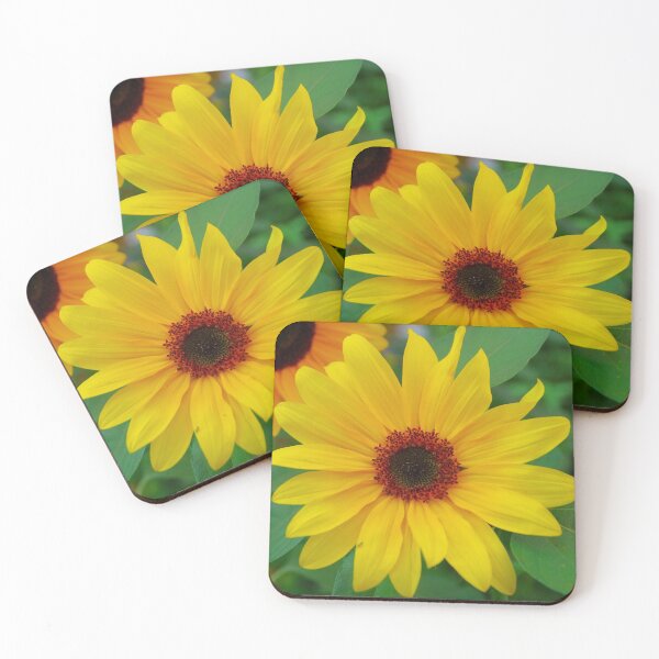 Item preview, Sunflower in full splendor designed and sold by Treemonk.