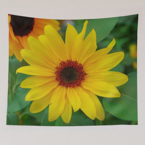 Item preview, Sunflower in full splendor designed and sold by Treemonk.