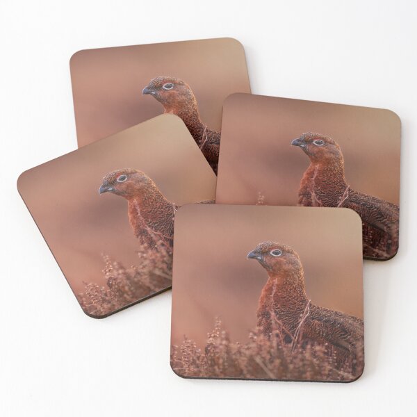 Item preview, Early morning Red Grouse designed and sold by Mark Lynham.