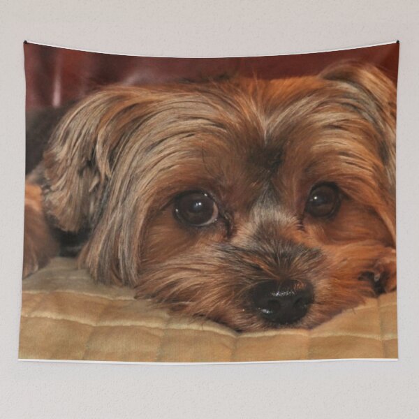 Item preview, Cute Yorkshire Terrier Yorkie Puppy Dog designed and sold by adriana-holmes.