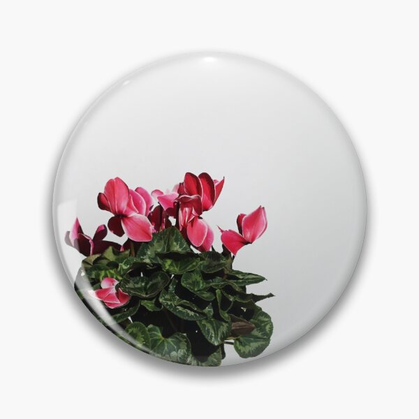 Item preview, Pot plant. designed and sold by Paul Pasco.