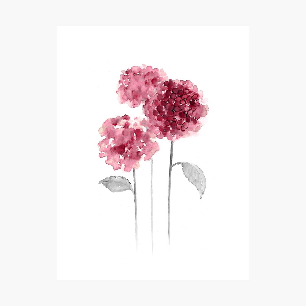 Pink Flowers Watercolor Art Print Painting" Poster By Asiaszmerdt | Redbubble