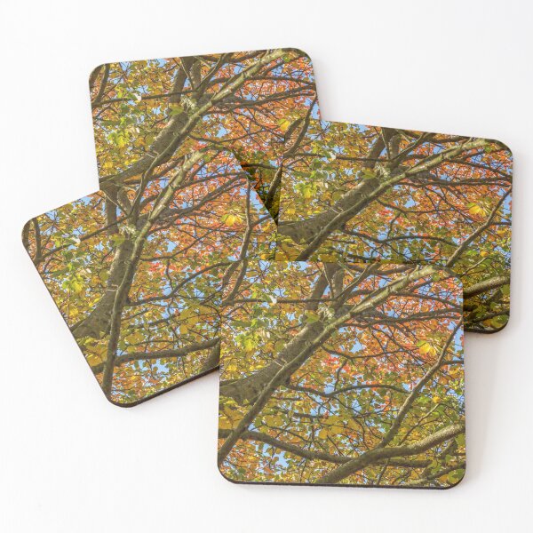 Item preview, Colourful Autumn Tree designed and sold by HaleyRedshaw.