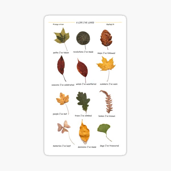 Autumn Leaves (A Life I've Loved)  Sticker