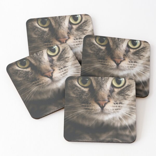 Item preview, Cat mask designed and sold by SergioBarros.