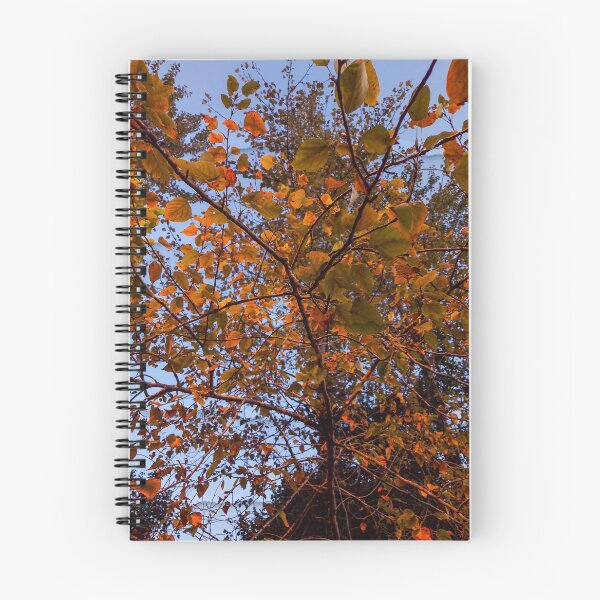 Artikelvorschau, Von Sommer bis Herbst entworfen und verkauft von Sabine Mélodie REMER.