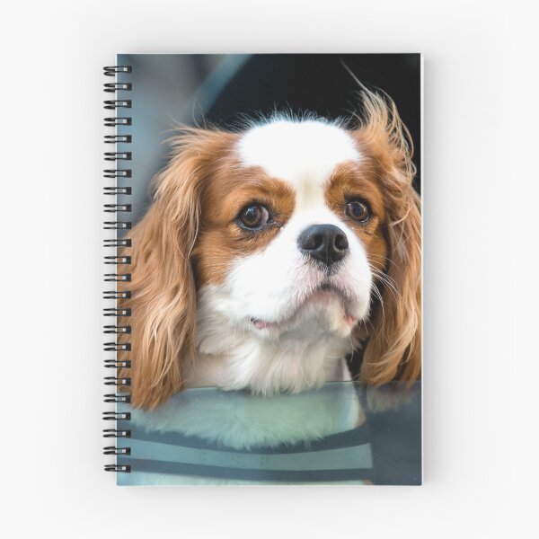 Item preview, Hello Mr Doggy  designed and sold by hawkie.