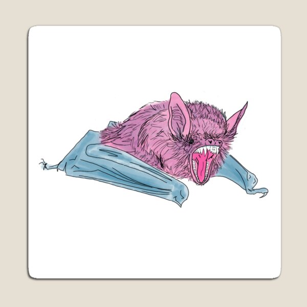 Bat Design Magnet