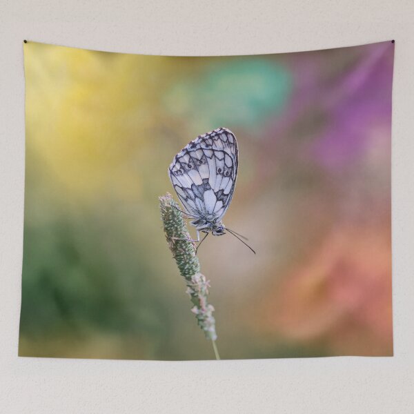 Item preview, Checkered Butterfly designed and sold by thedvguy.