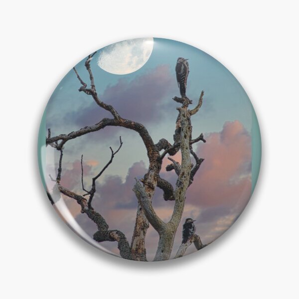 Item preview, Woodpecker evening out designed and sold by Sunset Photography by Andy Cooper.