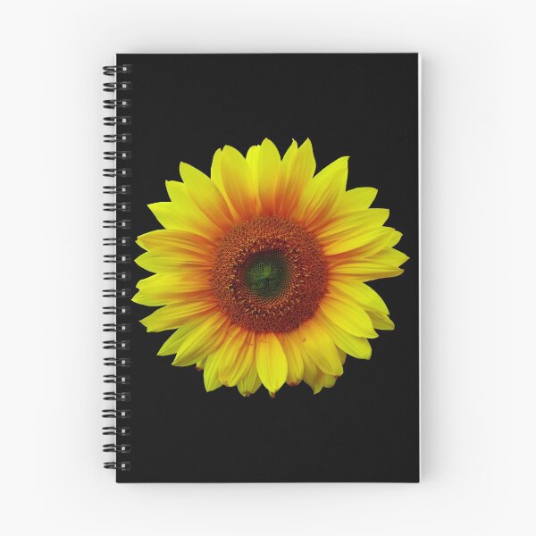 Aperçu de l'œuvre Découpe de tournesol créée et vendue par Treemonk.