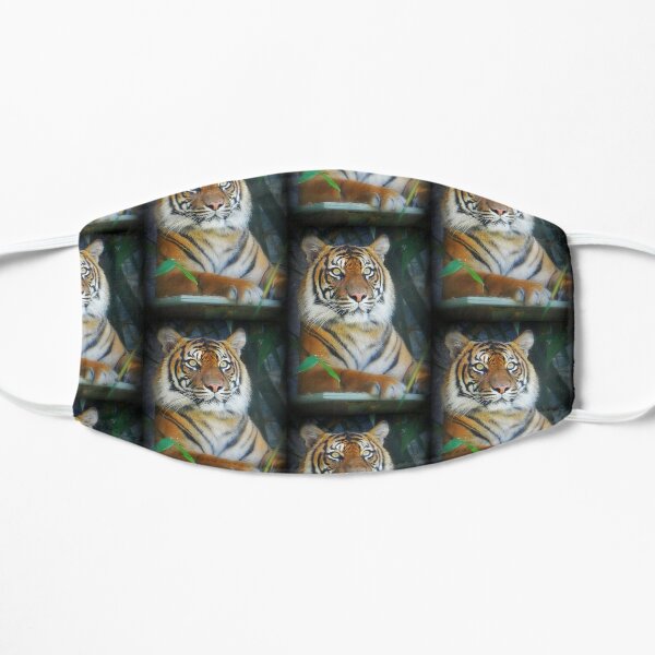 Tiger Mask