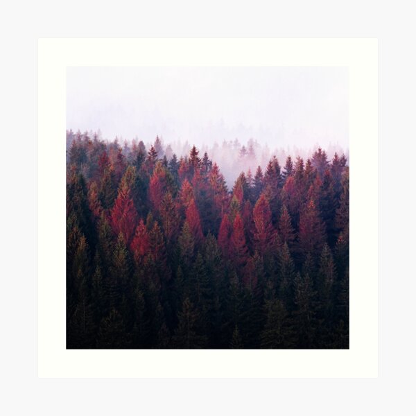 The Ridge Art Print