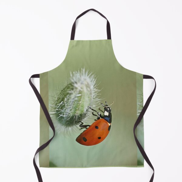 Item preview, the Star : (5) coccinelle-ladybug by Olao-Olavia / Okaio Créations 2015 by fz 1000 400.000 photos framings different picture on request on each support designed and sold by o.okaïo.