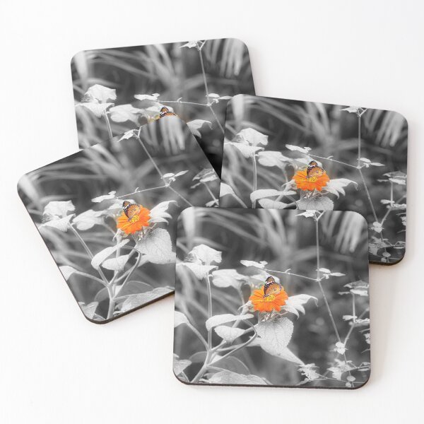 Item preview, Center of attraction designed and sold by Sunset Photography by Andy Cooper.