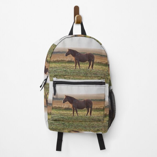 Item preview, Morning sun morning haze and a Horse designed and sold by Jouko Lehto Photography.