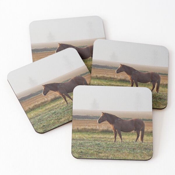 Item preview, Morning sun morning haze and a Horse designed and sold by Jouko Lehto Photography.