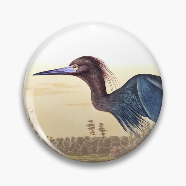 Item preview, Little Blue Heron by John James Audubon designed and sold by TheCurators.