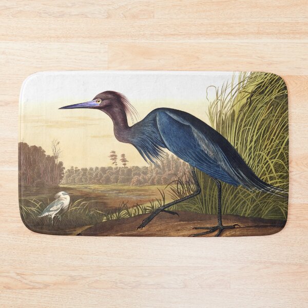 Item preview, Little Blue Heron by John James Audubon designed and sold by TheCurators.