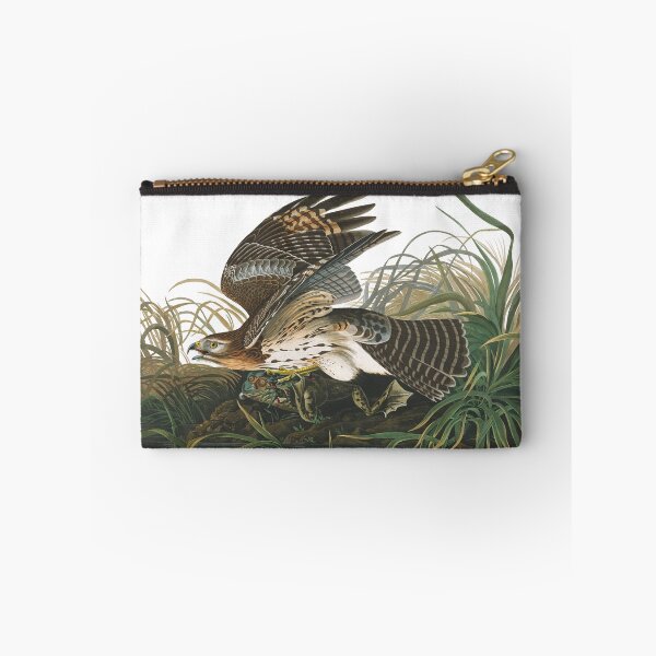 Item preview, Winter Hawk (Red-shouldered) by John James Audubon designed and sold by TheCurators.