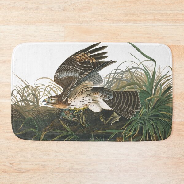 Item preview, Winter Hawk (Red-shouldered) by John James Audubon designed and sold by TheCurators.