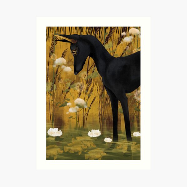 Anubis in pond with tilapia Art Print
