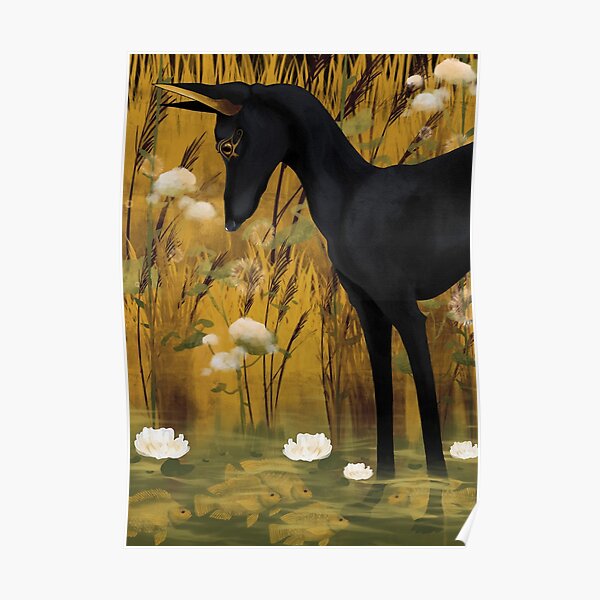Anubis in pond with tilapia Poster