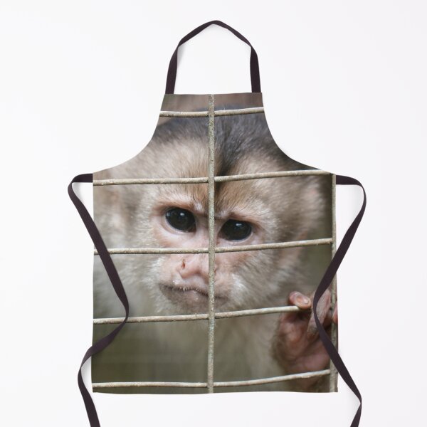 Item preview, Capuchin Monkey designed and sold by misimichu.
