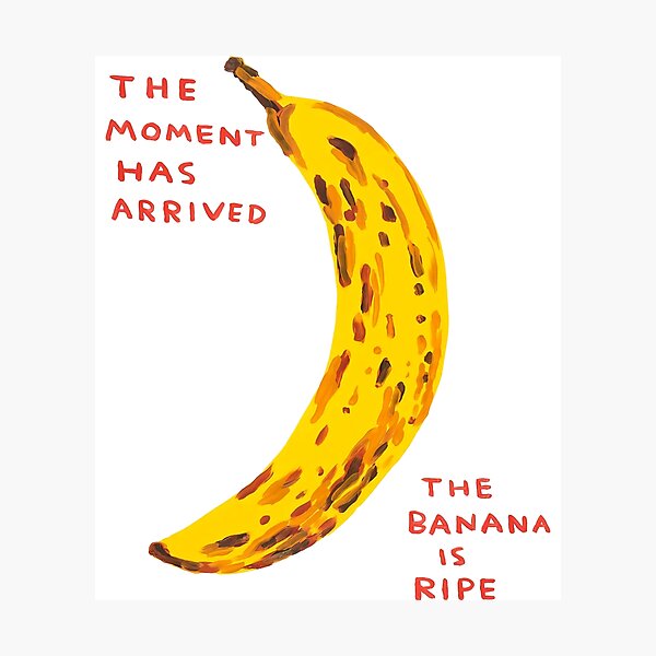 The Banana Davids Is Ripe Photographic Print