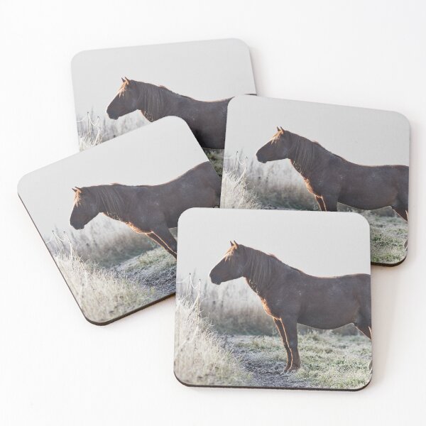 Item preview, Praising the sun but with a muddy fur. Horse designed and sold by Jouko Lehto Photography.