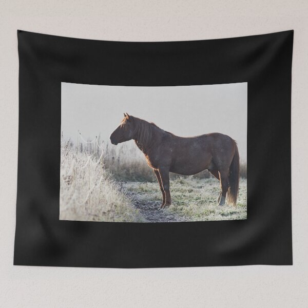 Item preview, Praising the sun but with a muddy fur. Horse designed and sold by Jouko Lehto Photography.