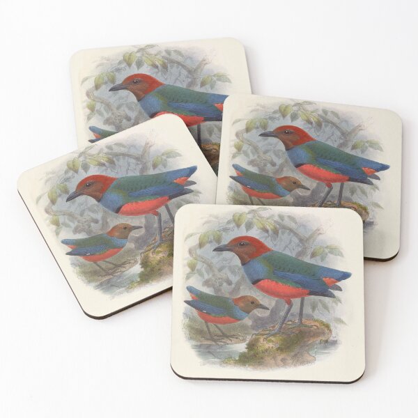 Item preview, Vintage Painting of Pitta Caeruleo - A Jewel Thrush designed and sold by TheCurators.