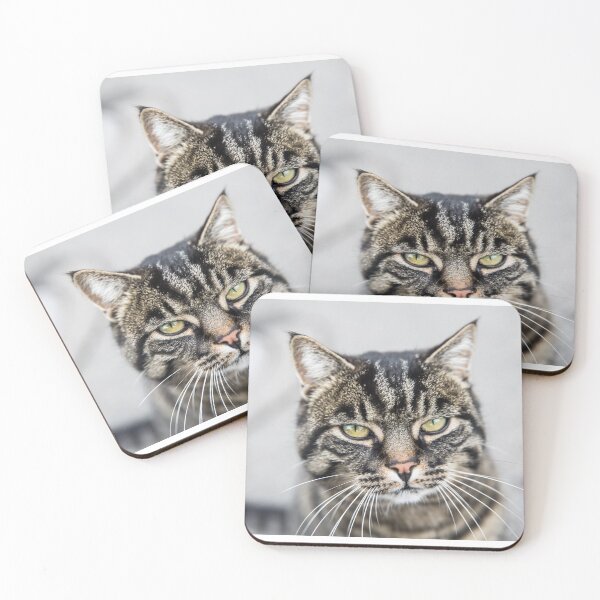 Item preview, Serious, listless tabby cat Tigerli designed and sold by seunglee.