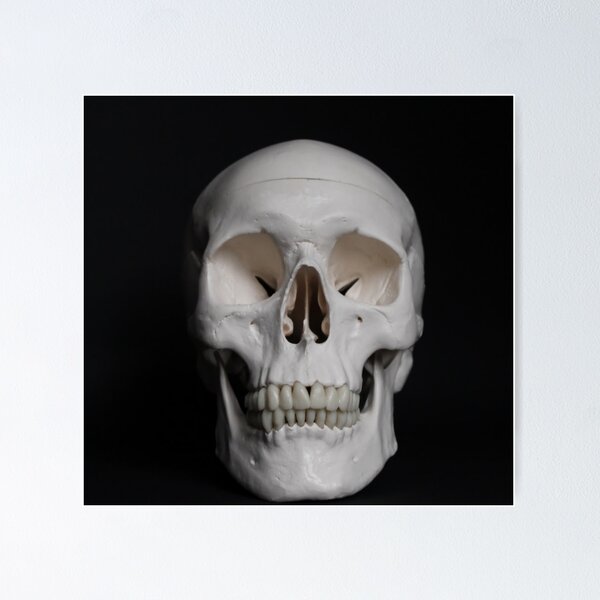 Item preview, Skull designed and sold by SergioBarros.