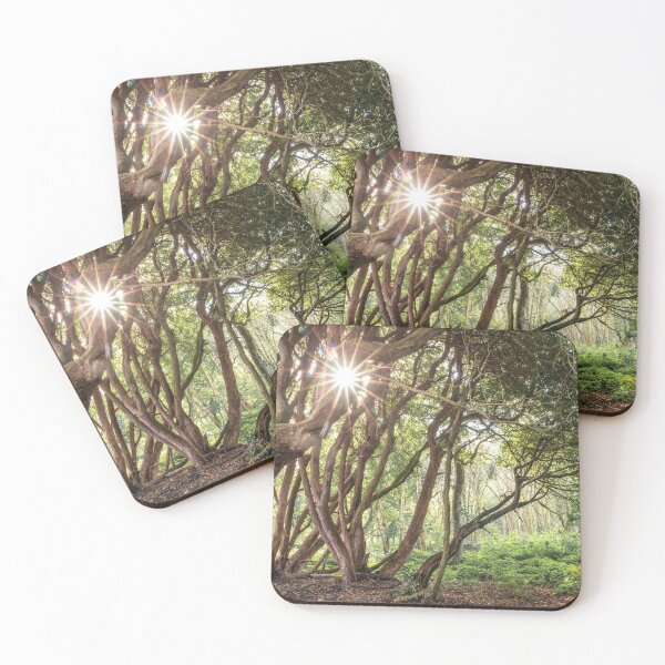 Item preview, ENTWINED designed and sold by Andrew Hocking.