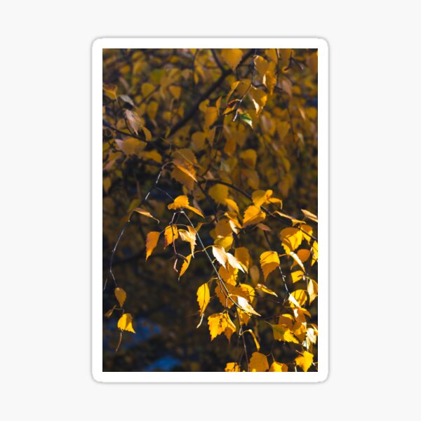 Item preview, Yellow Autumn Leaves in Sunshine designed and sold by craig777red.