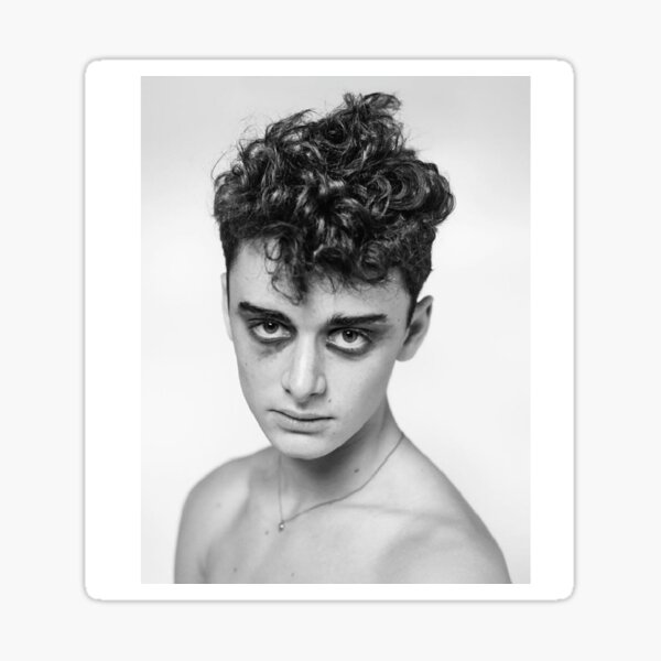 Póster gótico de noah schnapp detrás de las persianas Pegatina