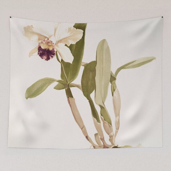 Item preview, Reichenbachia: Orchids Illustrated and Described designed and sold by EsotericBotanic.