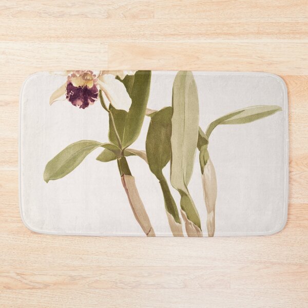 Item preview, Reichenbachia: Orchids Illustrated and Described designed and sold by EsotericBotanic.