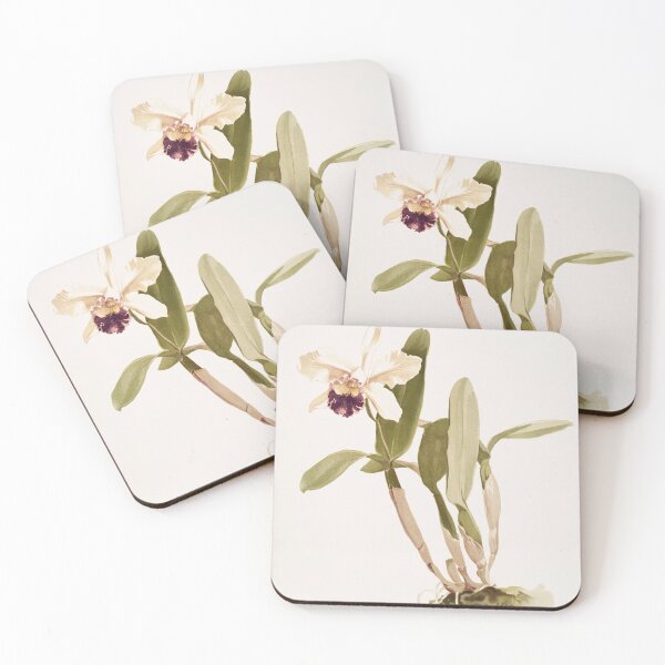 Item preview, Reichenbachia: Orchids Illustrated and Described designed and sold by EsotericBotanic.