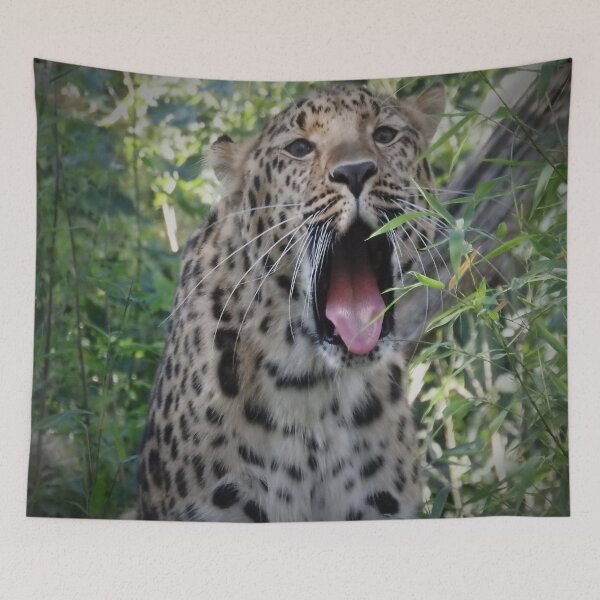 Item preview, HUNGRY LIKE THE LEOPARD designed and sold by RachelMacht.