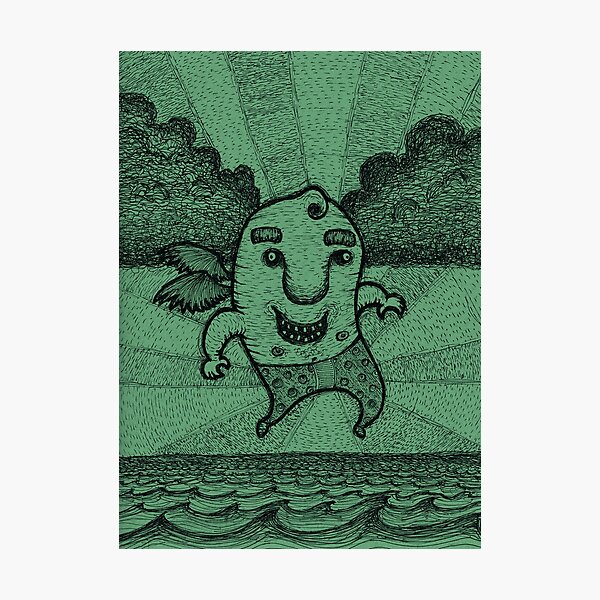 Fly Guy Photographic Print