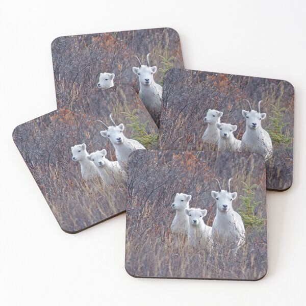 Item preview, Dall Sheep Ewe With Two Lambs at Denali designed and sold by TheCurators.
