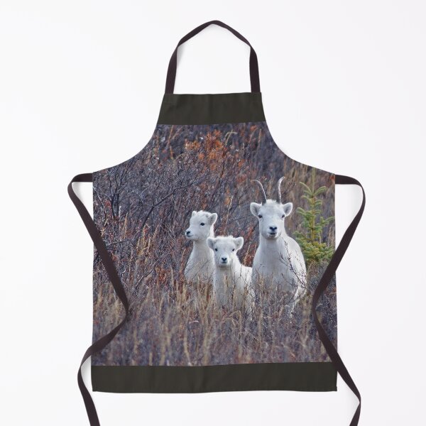 Item preview, Dall Sheep Ewe With Two Lambs at Denali designed and sold by TheCurators.