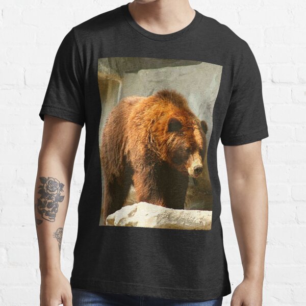 grizzly bear shirts