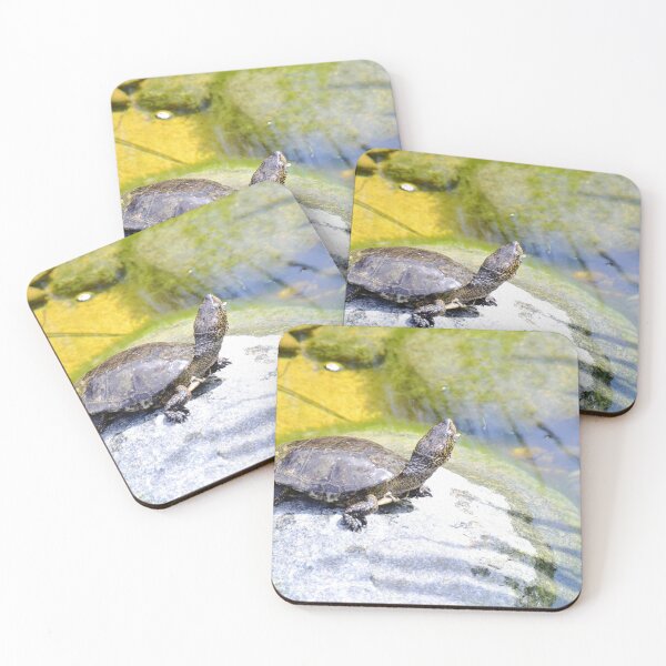 Item preview, Turtle Pose designed and sold by Tdcc2000.