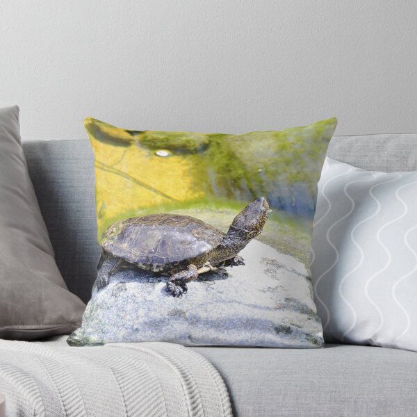 Item preview, Turtle Pose designed and sold by Tdcc2000.