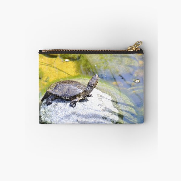 Item preview, Turtle Pose designed and sold by Tdcc2000.
